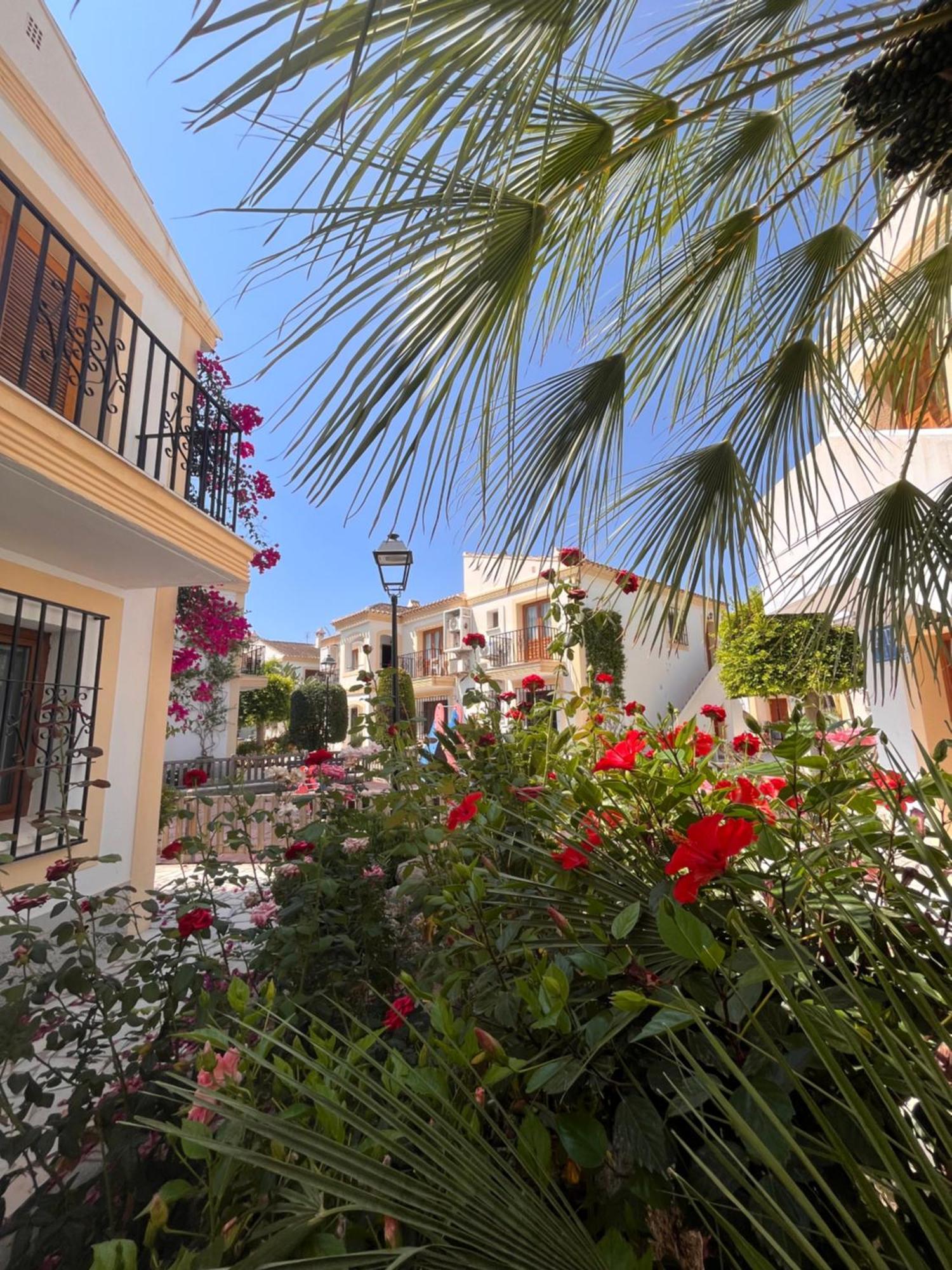 Apartamento Esquina Verde En Vera Coast Playas de Vera Extérieur photo