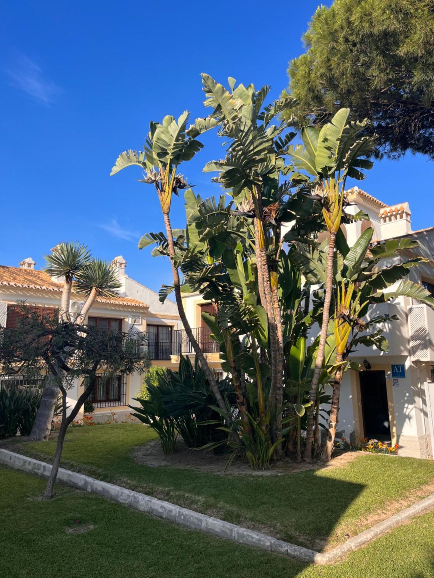 Apartamento Esquina Verde En Vera Coast Playas de Vera Extérieur photo
